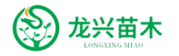 都江堰市龍興花卉園林種植場|楨楠|花卉|苗木