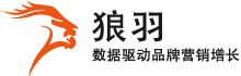 上海狼羽網(wǎng)絡(luò)科技有限公司-全域數(shù)字營(yíng)銷方案提供商