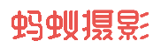 螞蟻攝影