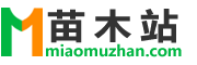 苗木站_苗木求購(gòu)信息|苗木供應(yīng)信息|綠化苗木價(jià)格_第一苗木站_專業(yè)苗木網(wǎng)站