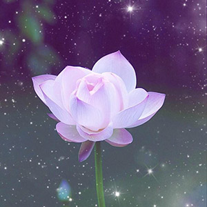 賣家內(nèi)參網(wǎng) - 賣家內(nèi)參百科資訊網(wǎng)！