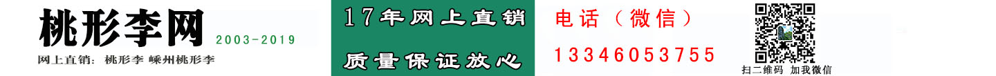 桃形李網-桃形李|嵊州桃形李|17年網上直銷-質量有保障