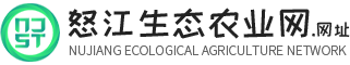 怒江特產(chǎn)_品質(zhì)藥材_怒江生態(tài)農(nóng)業(yè)網(wǎng)_貢山縣丙中洛鎮(zhèn)魏福種植農(nóng)民專(zhuān)業(yè)合作社