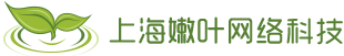 上海嫩葉網絡科技|電話400-156-1600|專業物聯網開發|BI數據分析|企業級應用建設-