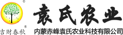 內蒙古谷種,內蒙古豆角籽,赤峰谷種,赤峰豆角籽,內蒙谷子,內蒙豆角籽,赤峰谷子,金苗K1,內蒙赤峰袁氏農業科技有限公司