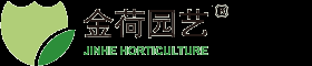 上海植物租賃公司_上海辦公室綠化植物花卉租賃養(yǎng)護(hù)_金荷園藝