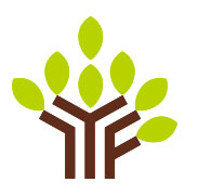 陜西勉縣市場策劃|勉縣捷尚灣韻網絡工作室