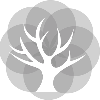 首頁(yè) - 無錫青木信息科技有限公司