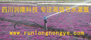 四川節水灌溉公司-成都滴灌公司-噴灌廠家-水肥一體化灌溉,滴灌設備的價格和供應,提供噴灌產品和水肥一體化灌溉系統