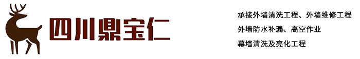 四川鼎寶仁外墻清洗、外墻維修