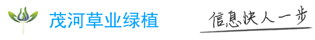茂河草業(yè)綠植