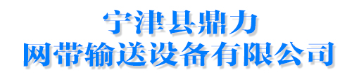 網帶輸送機-鏈板輸送機-分選機輸送帶-寧津縣鼎力網帶輸送設備