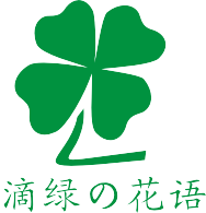 滴綠園藝-您身邊的綠植養護專家_綠植租擺_上海辦公室綠化！