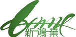 陜西新鴻業生態景觀設計工程有限公司