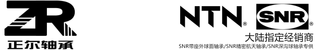 法國(guó)SNR軸承供應(yīng)商丨SNR軸承丨NSK軸承丨FAG軸承丨NTN軸承-浙江正爾軸承有限公司