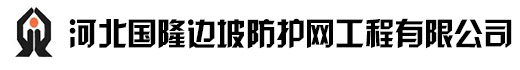 環(huán)形網(wǎng)_被動環(huán)形網(wǎng)_GPS2主動防護網(wǎng)_RX-050被動防護網(wǎng)_河北國隆邊坡防護網(wǎng)工程有限公司