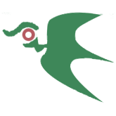 上海碩年國際物流有限公司