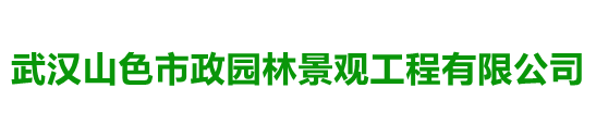 道路刷黑|馬路瀝青施工|道路瀝青攤鋪|武漢山色市政園林景觀工程有限公司