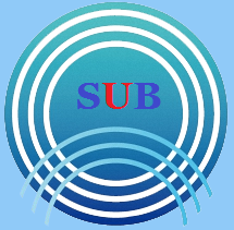 薩博海洋-綠色、安全、可靠