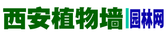 園林網-西安植物墻-花園設計公司-室內造景-微景觀-植物墻網以專業提供植物墻-永生苔蘚-垂直綠化-立體綠化-仿真植物墻-花園設計-園林綠化景觀公司的報價、設計、施工、養護以及方案為內容的綜合網站！