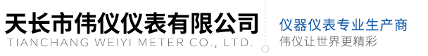 差壓表型號_不銹鋼壓力表型號_價格_不銹鋼差壓表型號_價格-天長市偉儀儀表有限公司