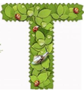 天作國際中心-歡迎訪問！