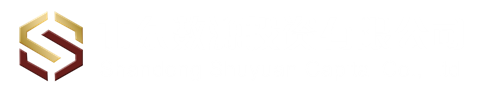 山東數(shù)源投資有限公司