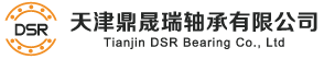 SKF軸承授權經銷商-FAG軸承總代理-NSK軸承-TIMKEN軸承-KOYO軸承 -天津鼎晟瑞軸承有限公司
