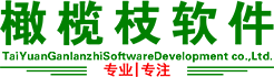 太原橄欖枝軟件開發有限公司