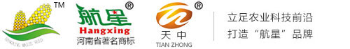 河南省天中種子有限責任公司,河南種業(yè),玉米高產品種,高產玉米種子