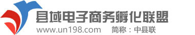 縣域電子商務孵化聯盟【中縣聯】--電商發展模式,分析規劃,培訓孵化,方案平臺,現狀歷程,總結報告,背景政策,趨勢機遇,指數影響等！
