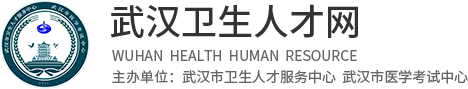 武漢衛生人才網