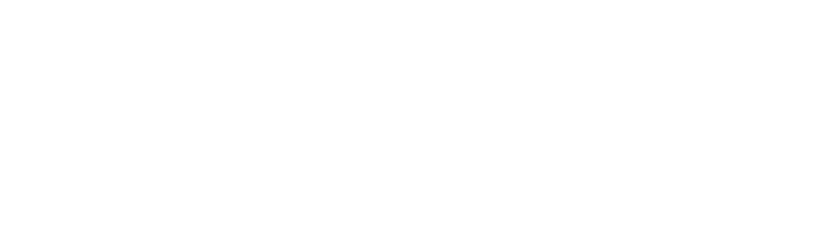 上海新數(shù)網(wǎng)絡(luò)科技股份有限公司 - 首頁(yè)