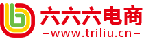 京東代運營_京東國際代運營_淘寶代運營_天貓代運營_京東服務商_天貓TP_六六六網絡科技【官方網站】