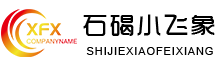 東莞市石碣小飛象電子廠