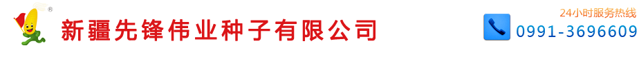 新疆玉米雜交種子廠家_油葵種子_小麥種子_牧草種子_新疆先鋒偉業(yè)種子有限公司