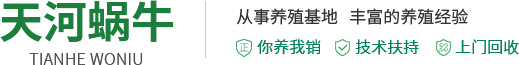 白玉蝸牛_新鄉(xiāng)縣七里營(yíng)天河蝸牛養(yǎng)殖廠