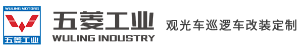 電動(dòng)貨車_電動(dòng)環(huán)衛(wèi)車_觀光車_電動(dòng)小火車_電動(dòng)消防_高爾夫球車-湖北新眾珹汽車科技有限公司