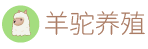 羊駝養殖,羊駝出租【四方羊駝養殖場】