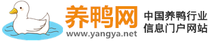 養(yǎng)鴨網(wǎng)_鴨子網(wǎng)價(jià)格最新行情報(bào)價(jià)_中國鴨子養(yǎng)殖信息門戶網(wǎng)站