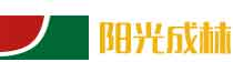 建筑模板廠家_建筑模板批發(fā)_建筑模板供應(yīng)-陽(yáng)光成林木業(yè)