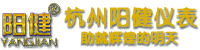 水質(zhì)檢測儀器-在線監(jiān)測多參數(shù)分析儀-在線監(jiān)控pH計_杭州陽健儀表公司