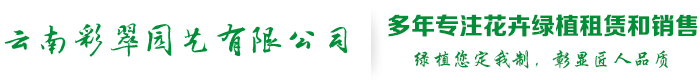 云南彩翠園藝有限公司_昆明植物租賃_昆明綠植租賃_花卉租擺_盆栽租賃_昆明租花_辦公室租花