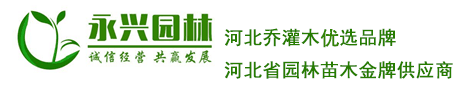 華北地區(qū)苗木批發(fā)市場-北方大型苗木花卉種植基地-河北保定永興園林-