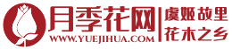 月季花網(wǎng)-樹狀藤本大花苗-月季知識分享網(wǎng)站-月季苗批發(fā)基地