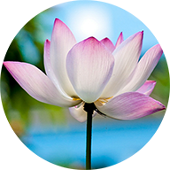 雨后池塘 - 寫日記/回憶錄“心靈療傷”特色社交平臺