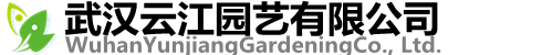 武漢花卉租賃綠植租擺武漢辦公綠植租賃，武漢室內盆栽租擺，武漢綠植花卉銷售，武漢室內鮮花綠植