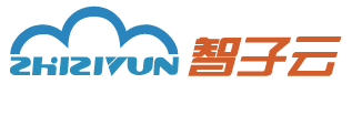 智子云|數(shù)智人解決方案代理加盟/信息流廣告代理加盟/個(gè)性化推薦服務(wù)/數(shù)據(jù)中臺(tái)解決方案