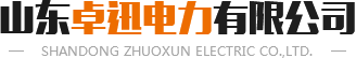 山東卓迅電力有限公司-專營售電,供電,電力工程設(shè)計(jì)的企業(yè)