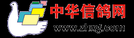 中華信鴿網(wǎng)
